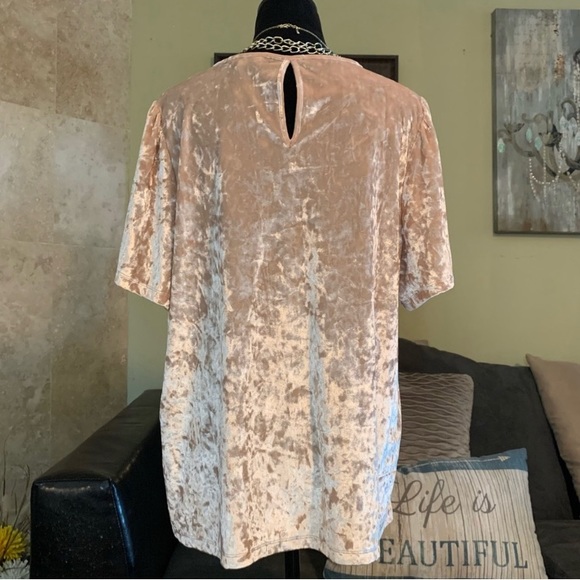 LUCKY BRAND NWT Champagne Crushed Velvet Flutter Sleeve Top 2X - Picture 7 of 8